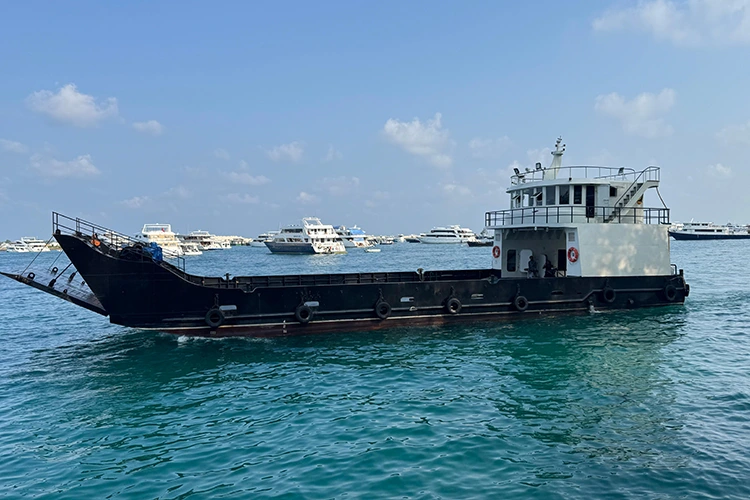 Operational Economy and Redundancy Metrics in Commercial Ferry Boat Sourcing